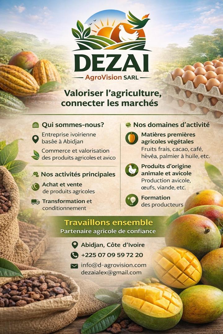 Activités